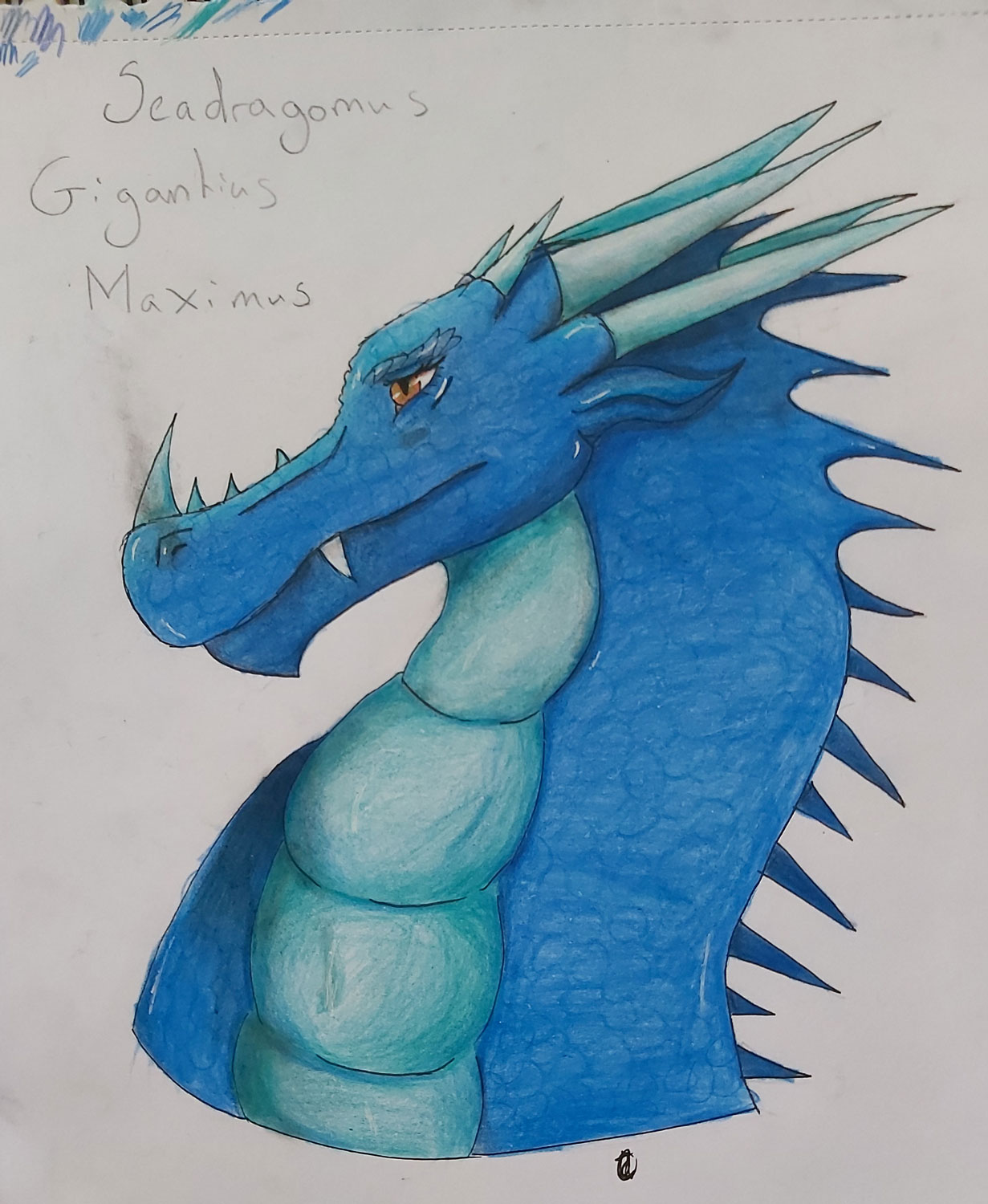 Katie Betts Blue Dragon