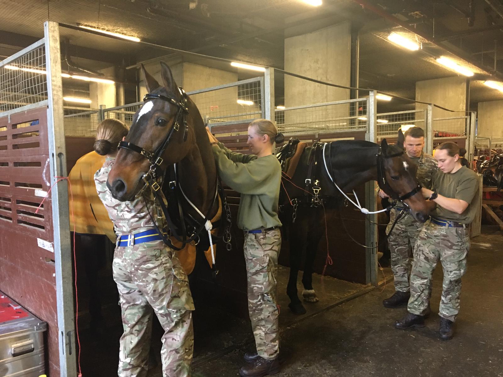 King's Troops preparations