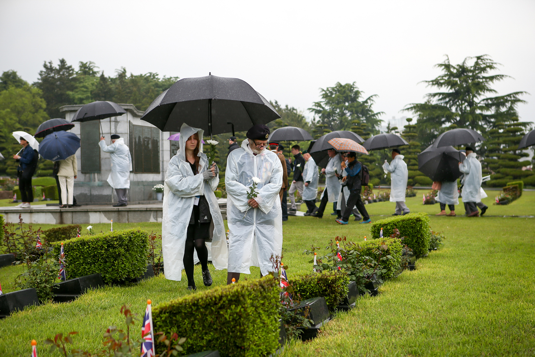 Korea Revisit UN Cemetery
