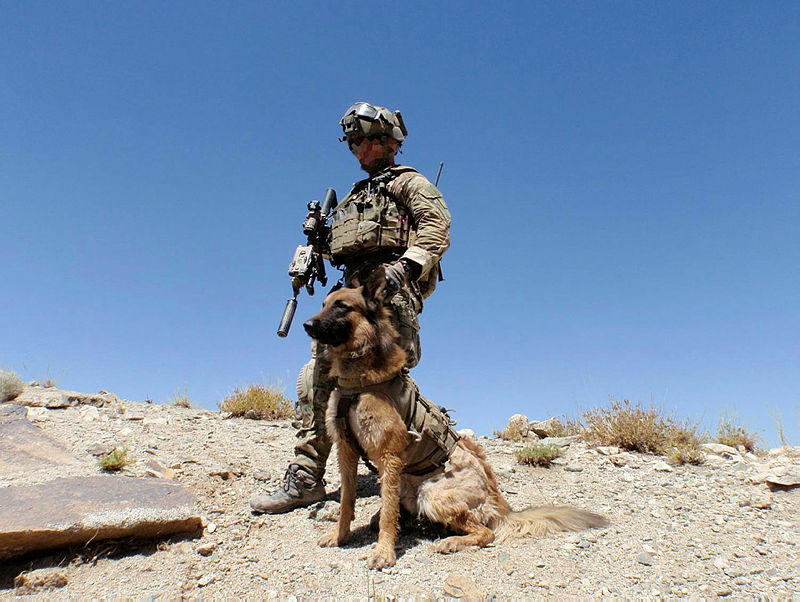 Kuga in Afghanistan (Picture: Australia Department of Defence).