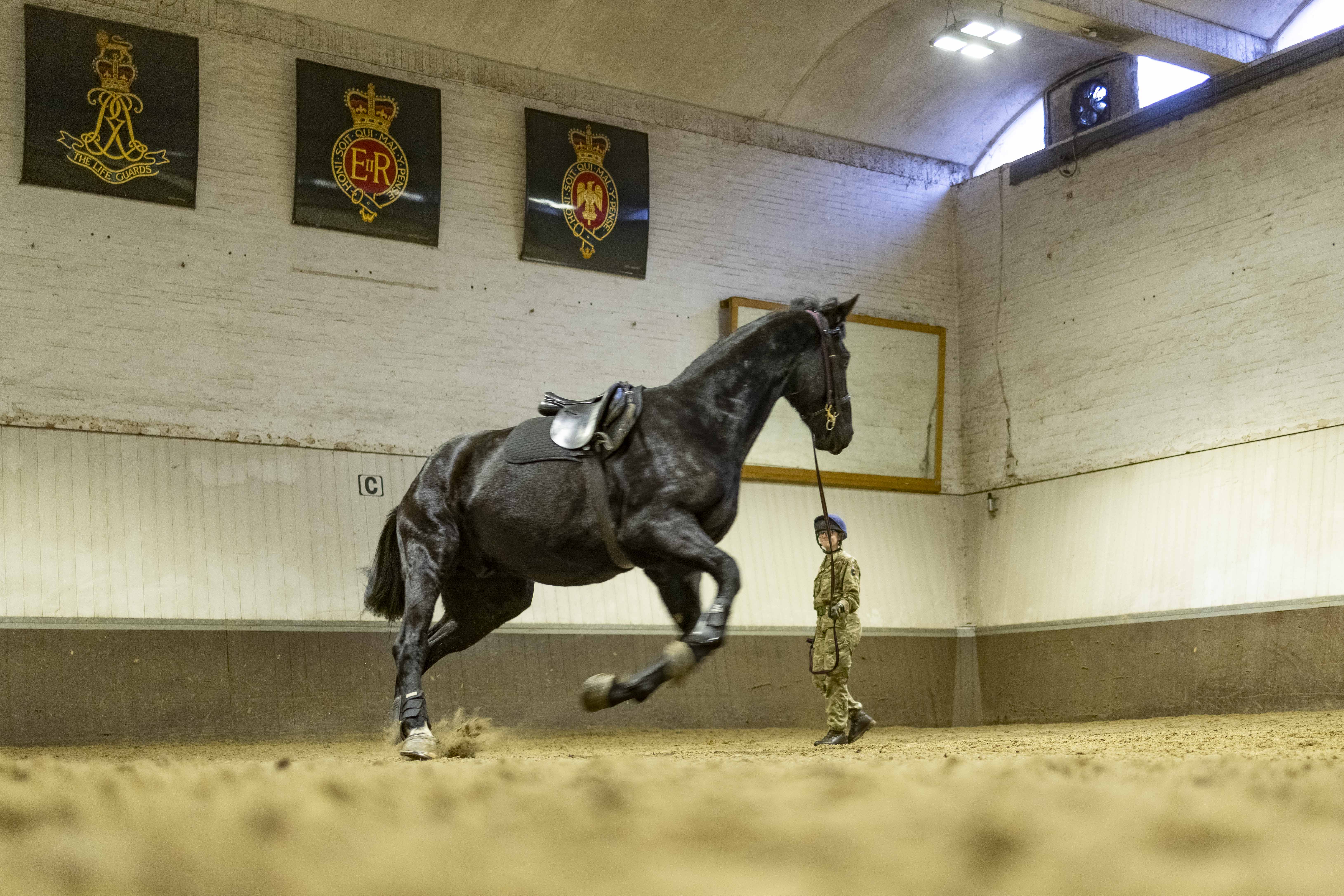 LUNGING EXERCISES HELP TO BUILD UP TONE AND FITNESS AFTER THE WINTER BREAK.