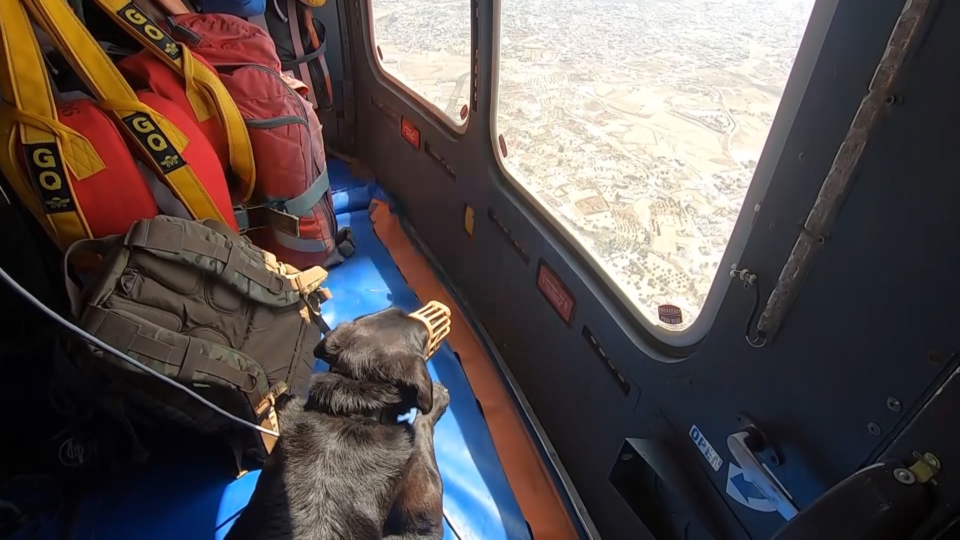 Ted during the flight to Dhekelia.