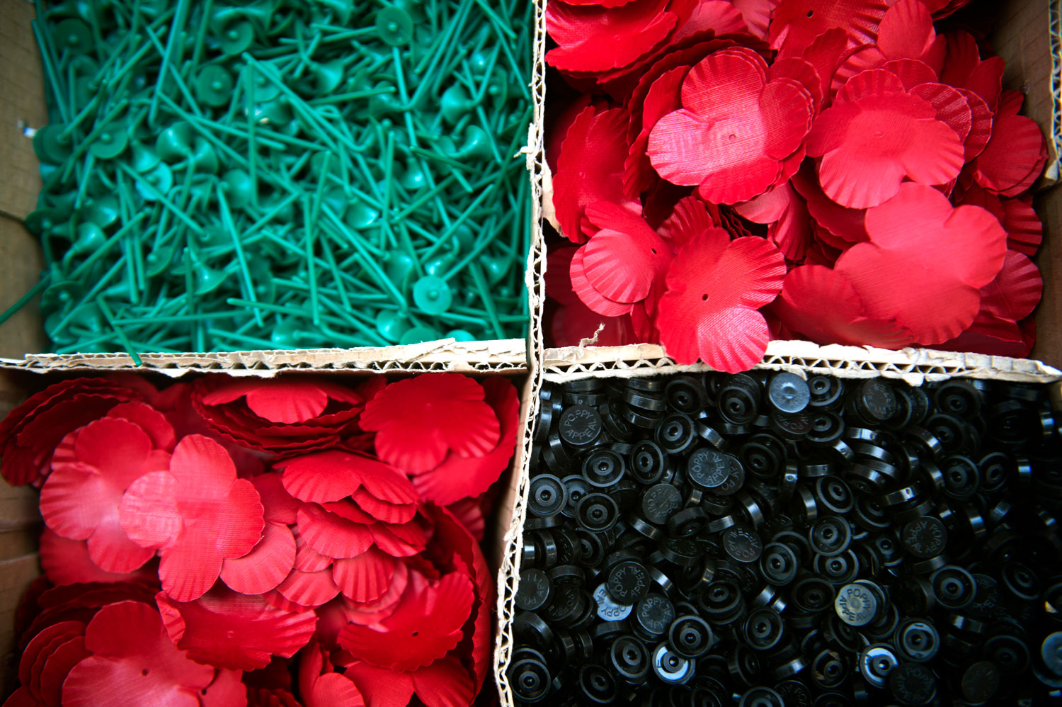 The individual parts of a Scottish poppy Picture Poppyscotland