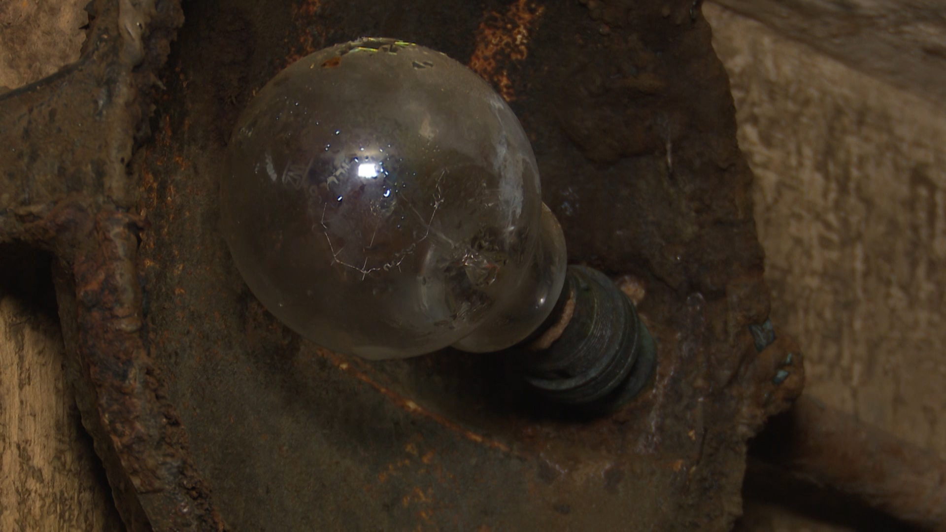 A lightbulb with the elements intact.