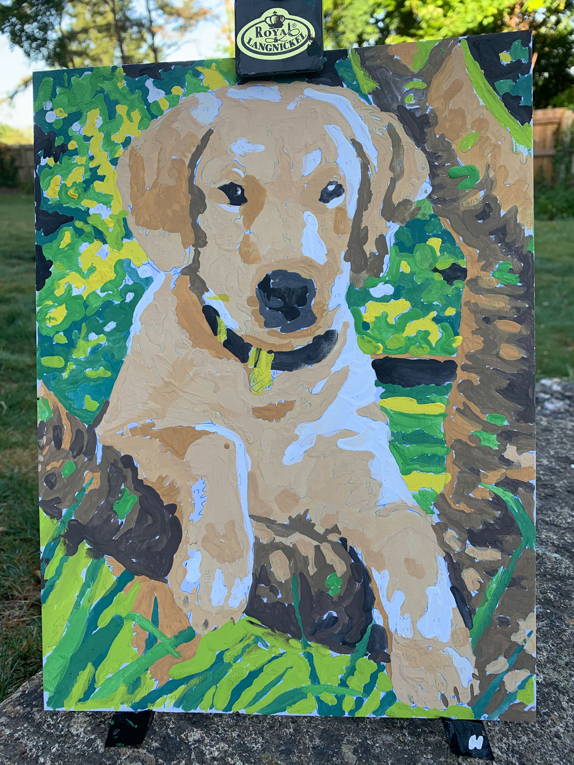 Molly Symonds Labrador