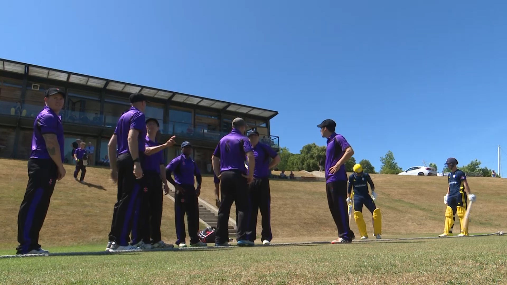 Cricket