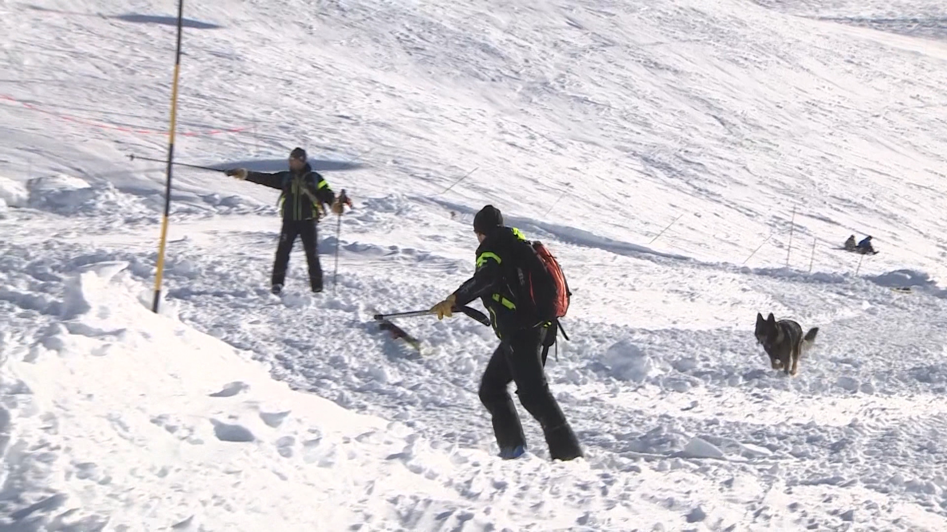 Meribel Avalanche Dogs