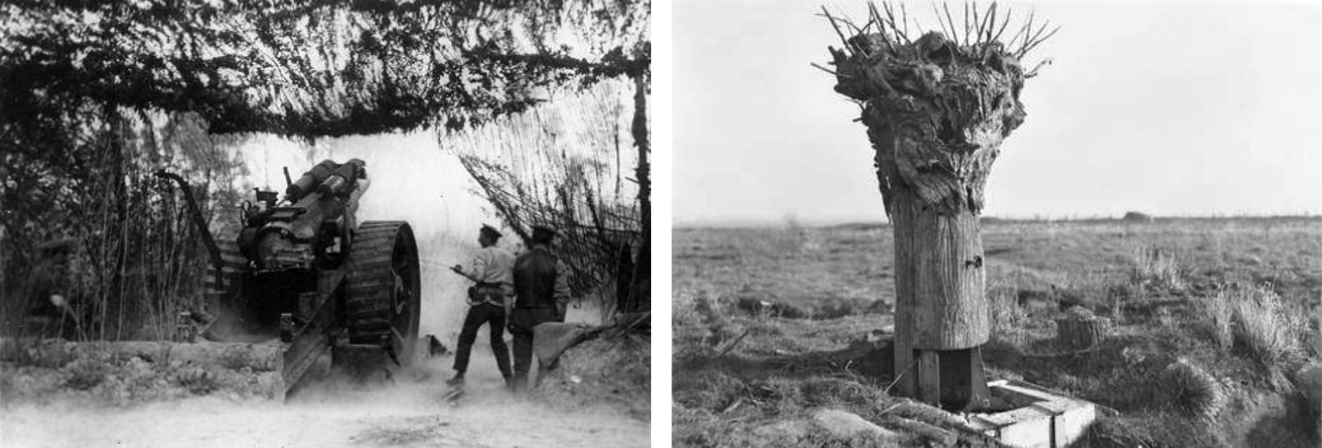 First world war