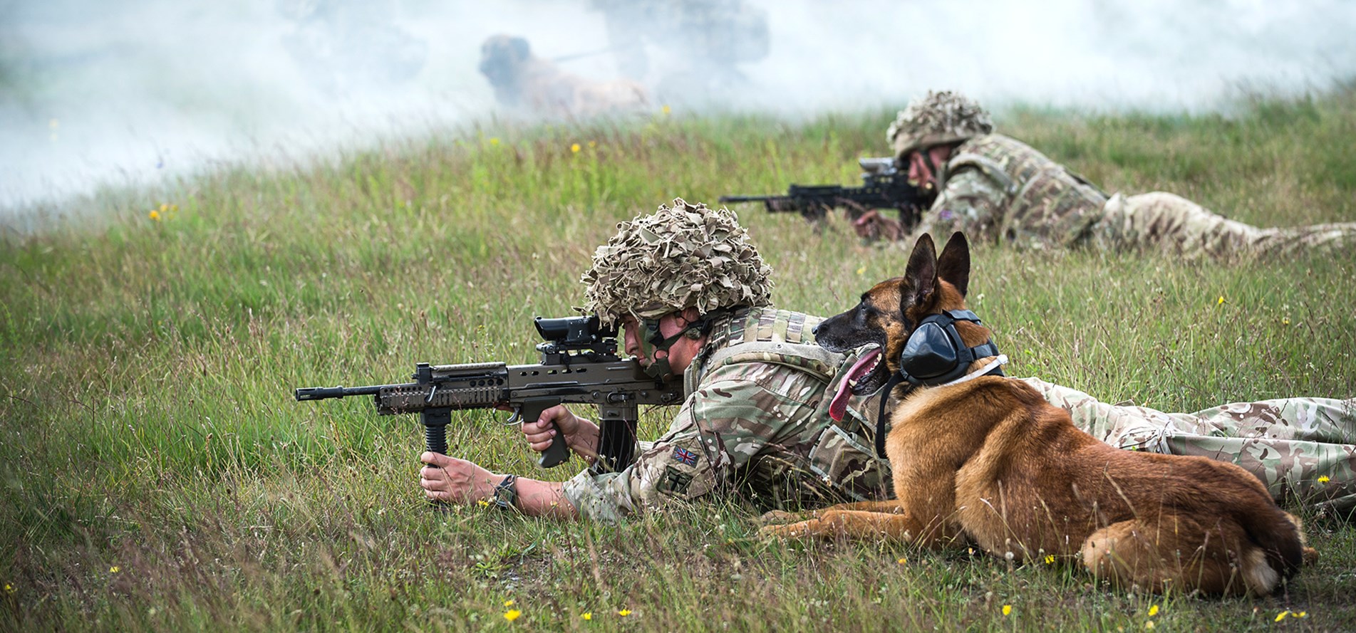 There around 200 working dogs in the Canine Training Squadron (Picture: British Army).