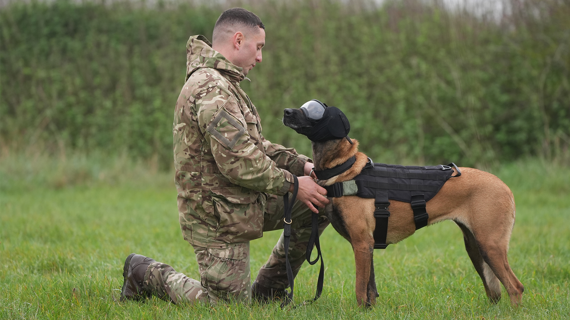 Una serves with 1 Military Working Dogs Regimenti, based at St George's Barracks in Rutland (Picture: PA)