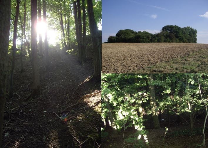The Somme