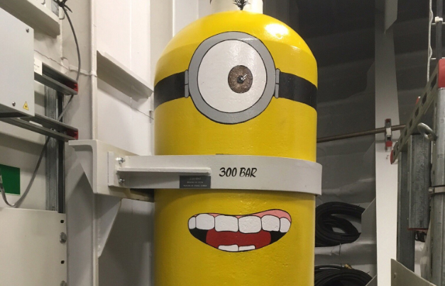 Minion HMS Queen Elizabeth
