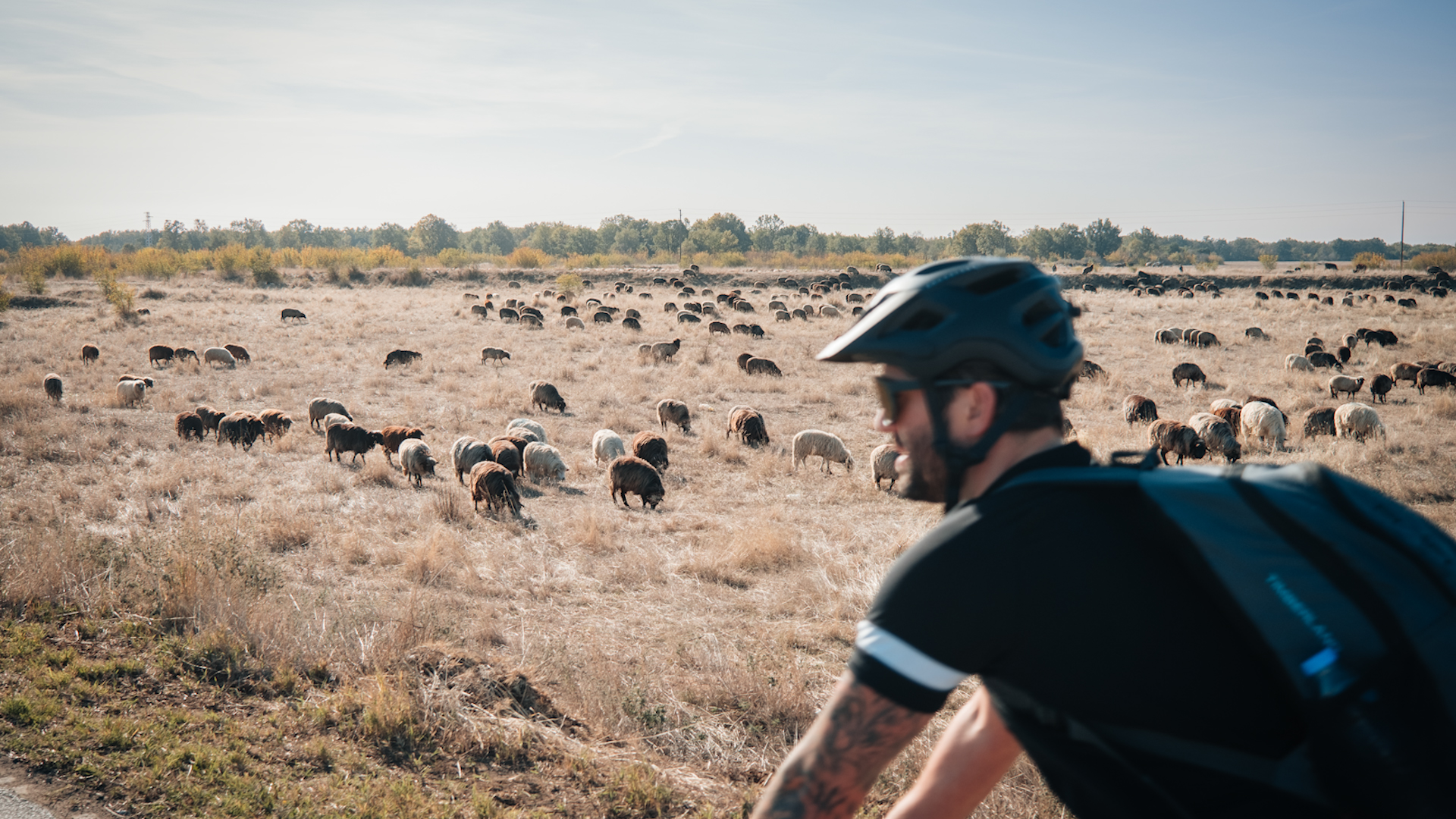 Mitch Hutchcraft cycling