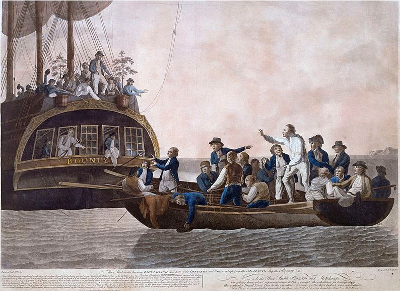 The Truth Behind The Mutiny on the Bounty