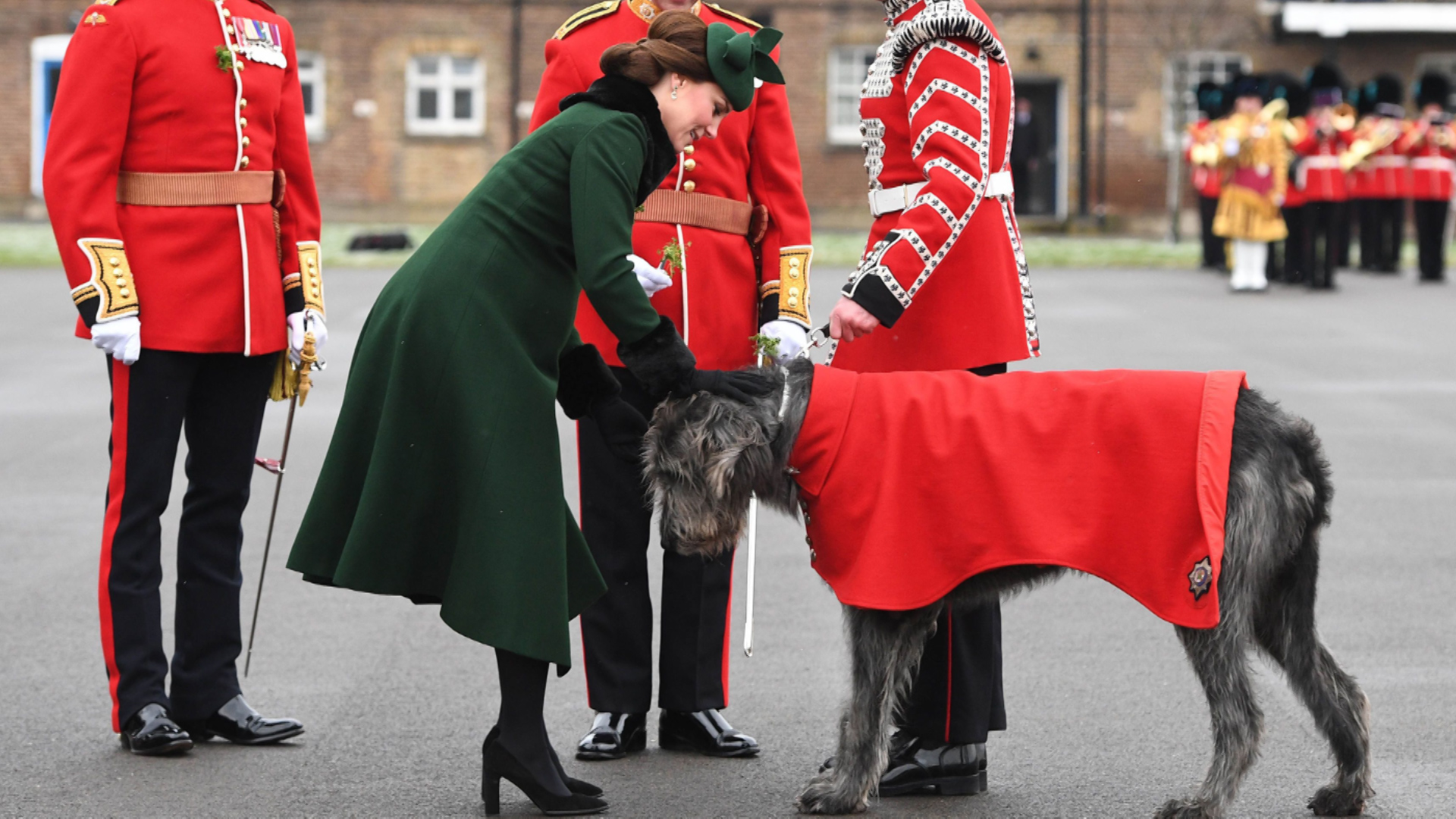 Duchess of Cambridge presents shamrock to Irish Guards wolfhound Domhnal