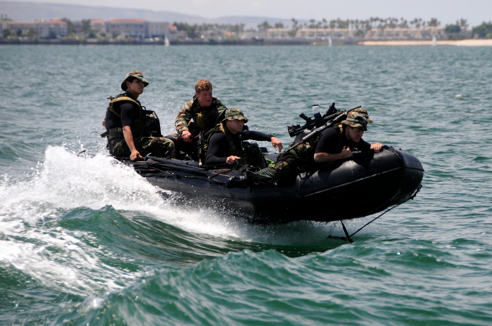 Navy SEAL qualification training (Picture: US Department of Defense).