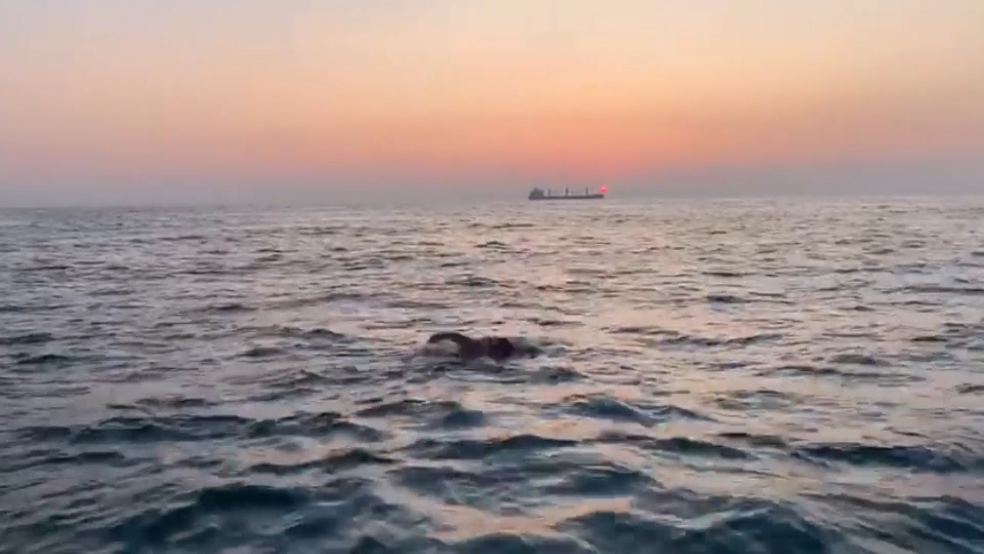 Nerys Pearce says she will be re-attempting the English Channel swim next year.