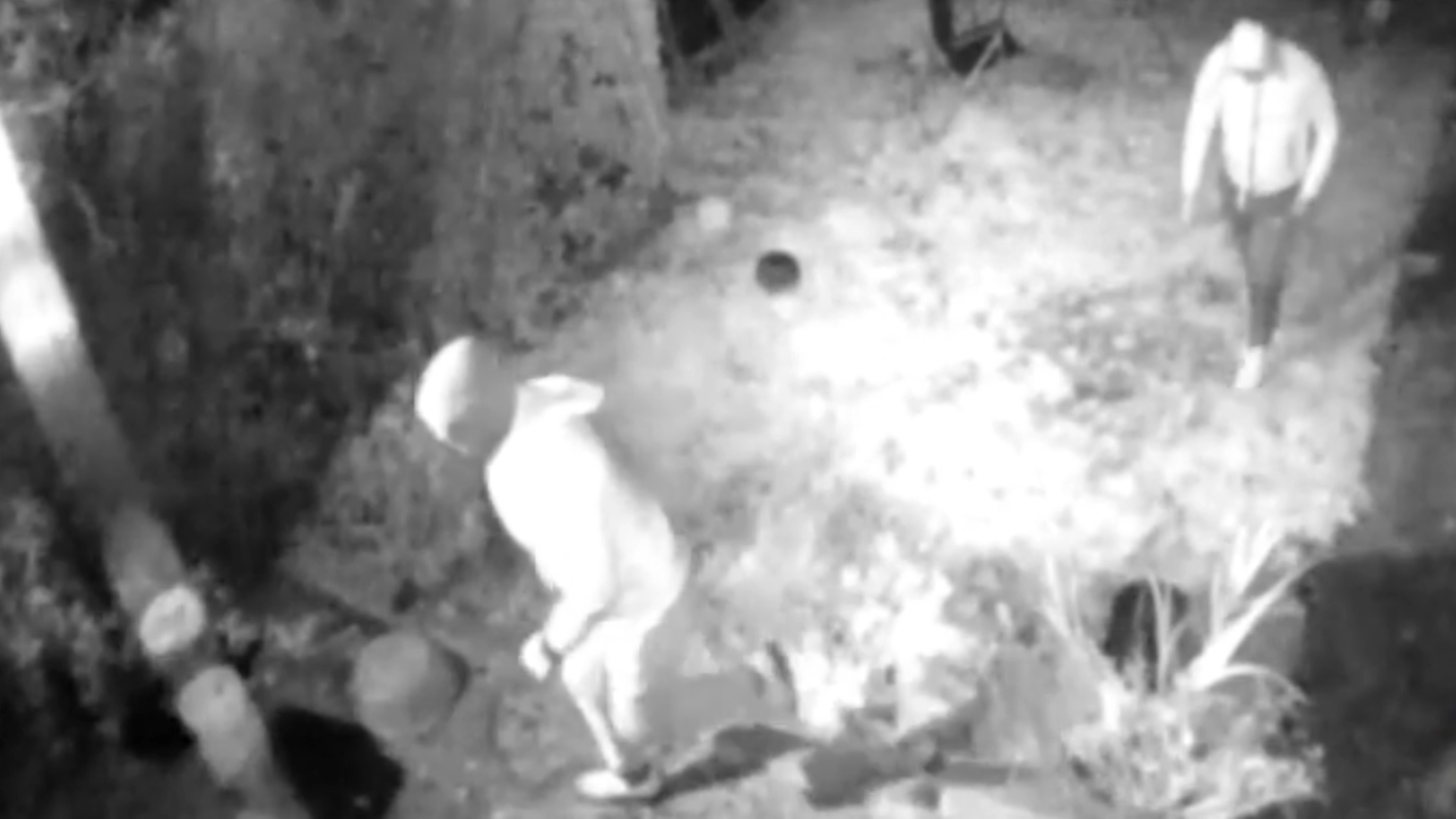 Police issue new images of suspects in Peter Gouldstone robbery