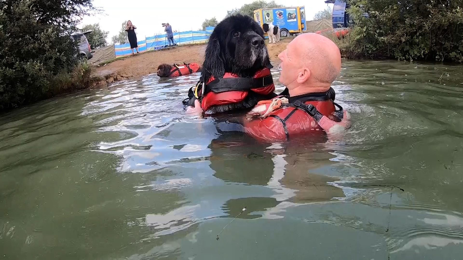 Newfoundland emotional support dogs swimming veterans 210823 2 CREDIT BFBS