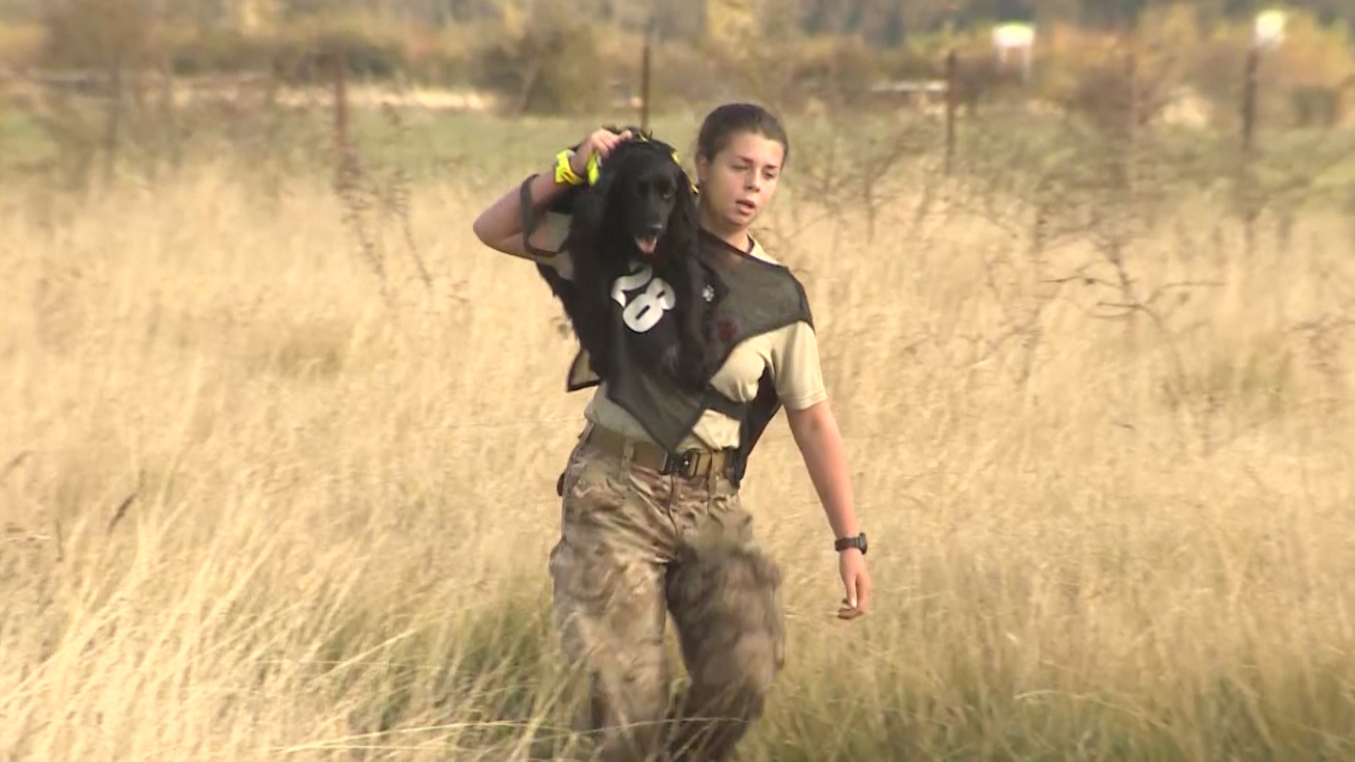 Handler carrying dog at International Canine Biathlon