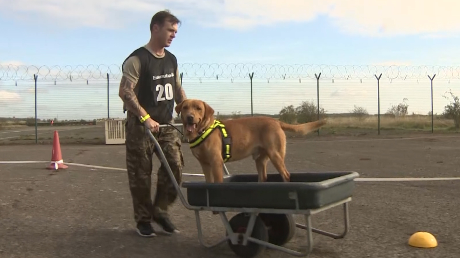 Handler pushes dog in barrow at International Canine Biathlon