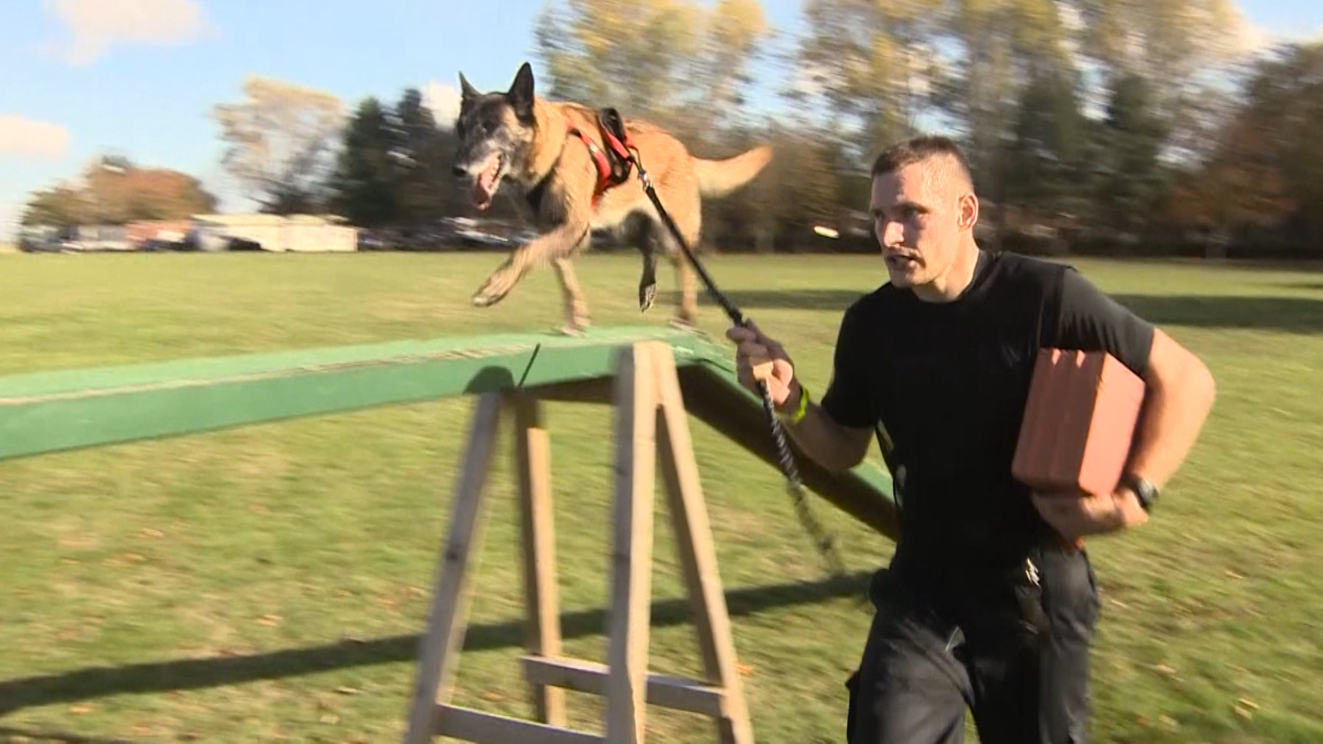 Dog and handler tackle obstacle at International Canine Biathlon