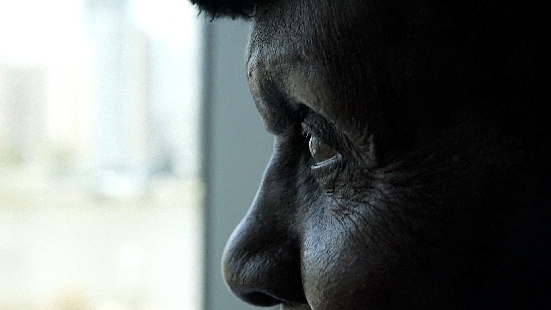 Black Commonwealth Veteran
