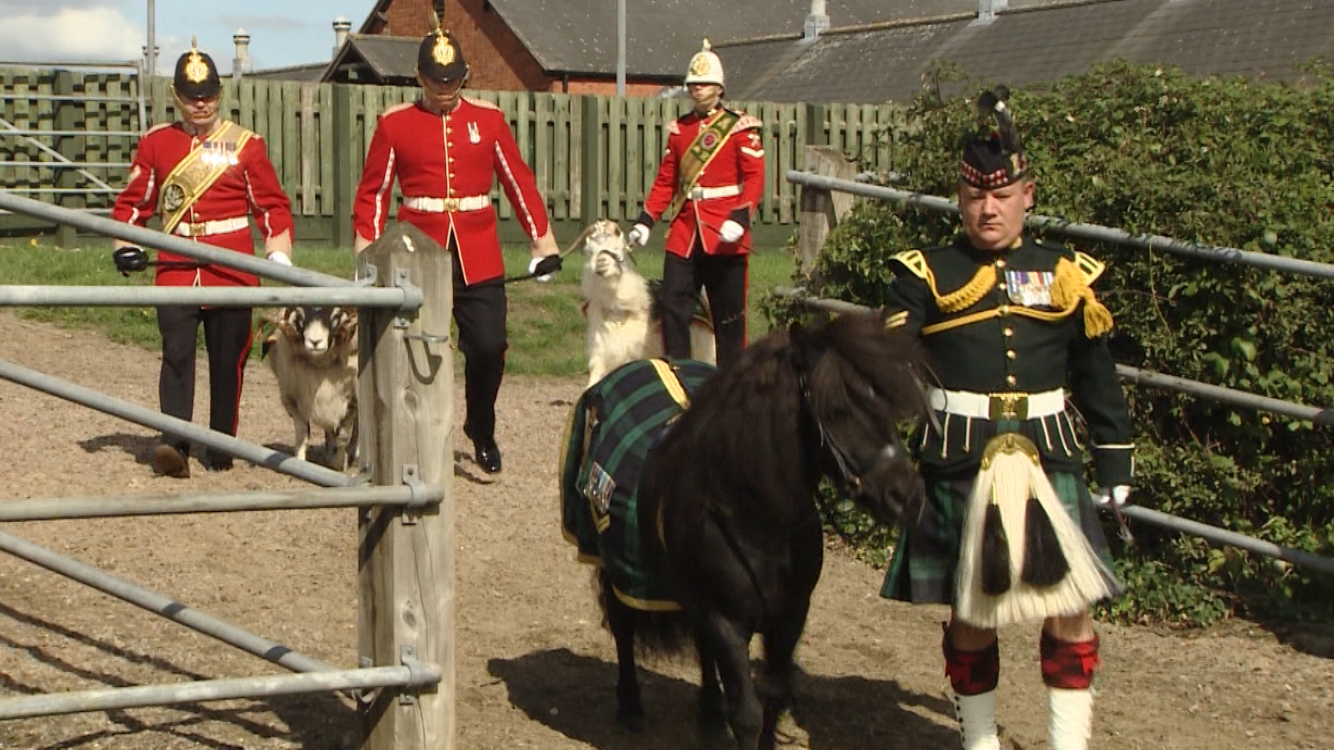 first ever military mascot training camp