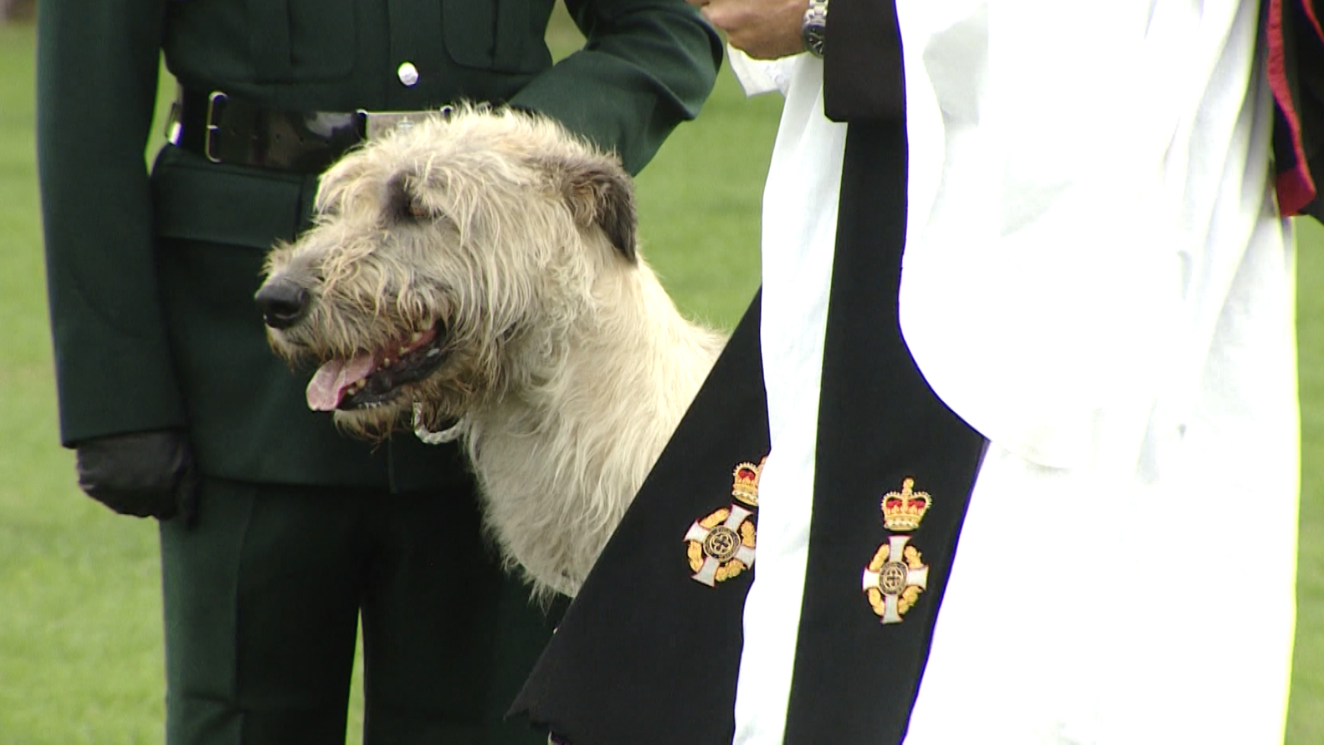 Army padre blesses a dog at the military mascot training camp.