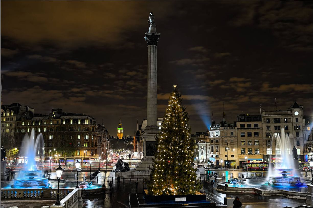 Trafalgar Square, London, England, UK, at night, in winter, with Norwegian Christmas tree.