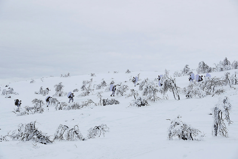 Norwegian Army Winter Exercise 