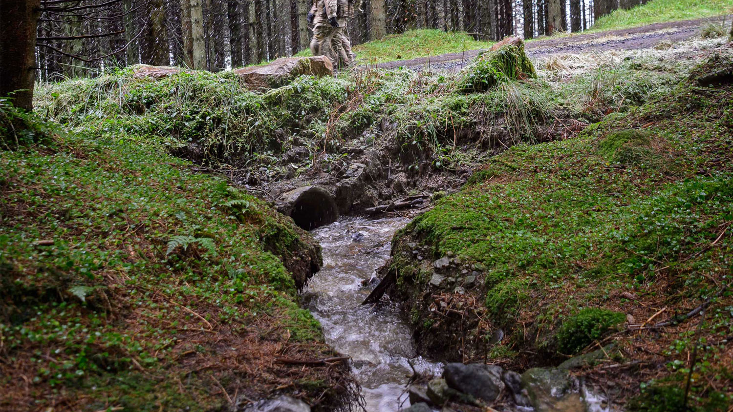 	Otterburn Training Area in Northumberland Soldiers Royal Regiment of Scotland in 2017 Rain Nature ID 45162947 CREDIT Crown Copyright