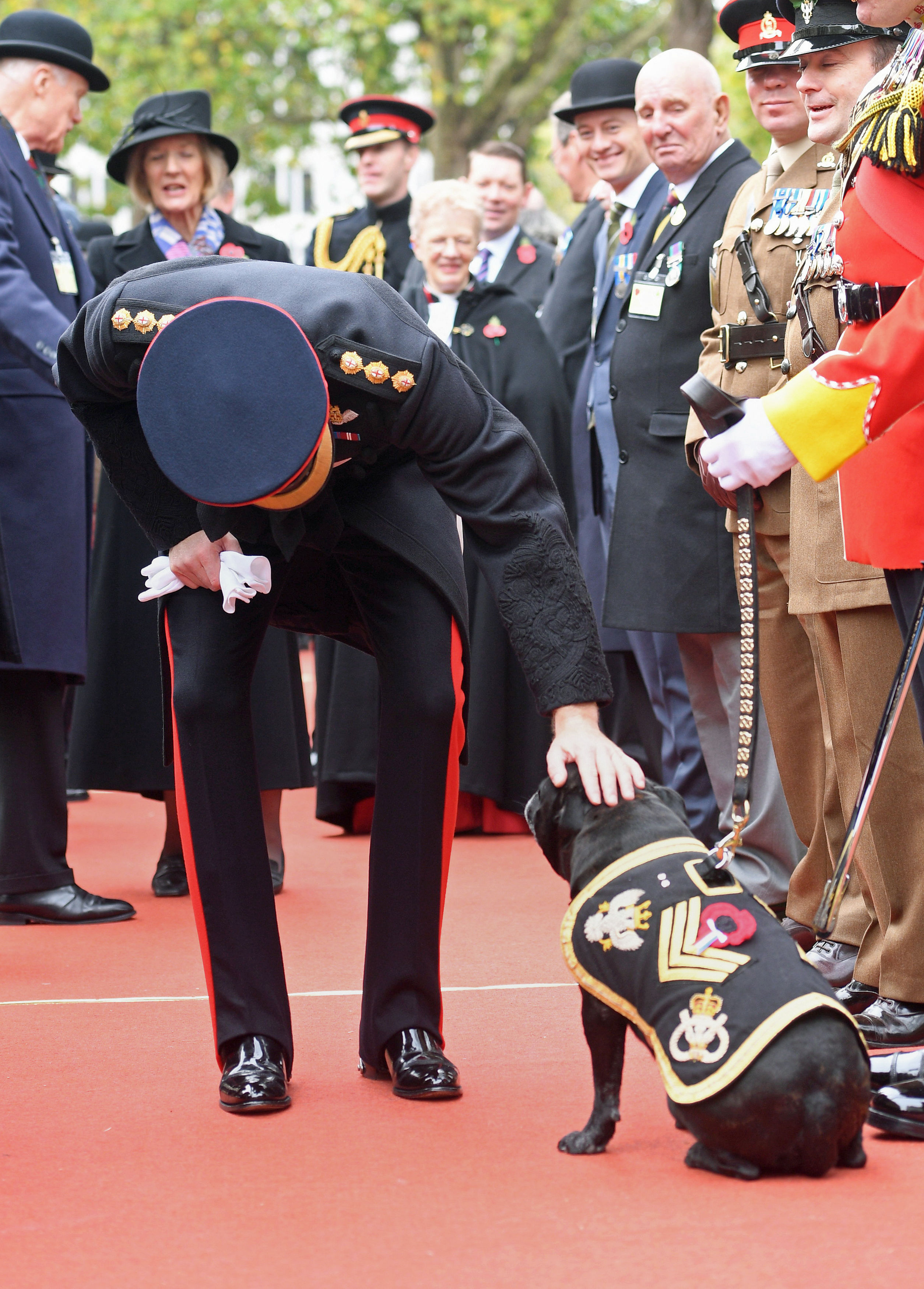 Prince Harry Remembrance Westminster 091117