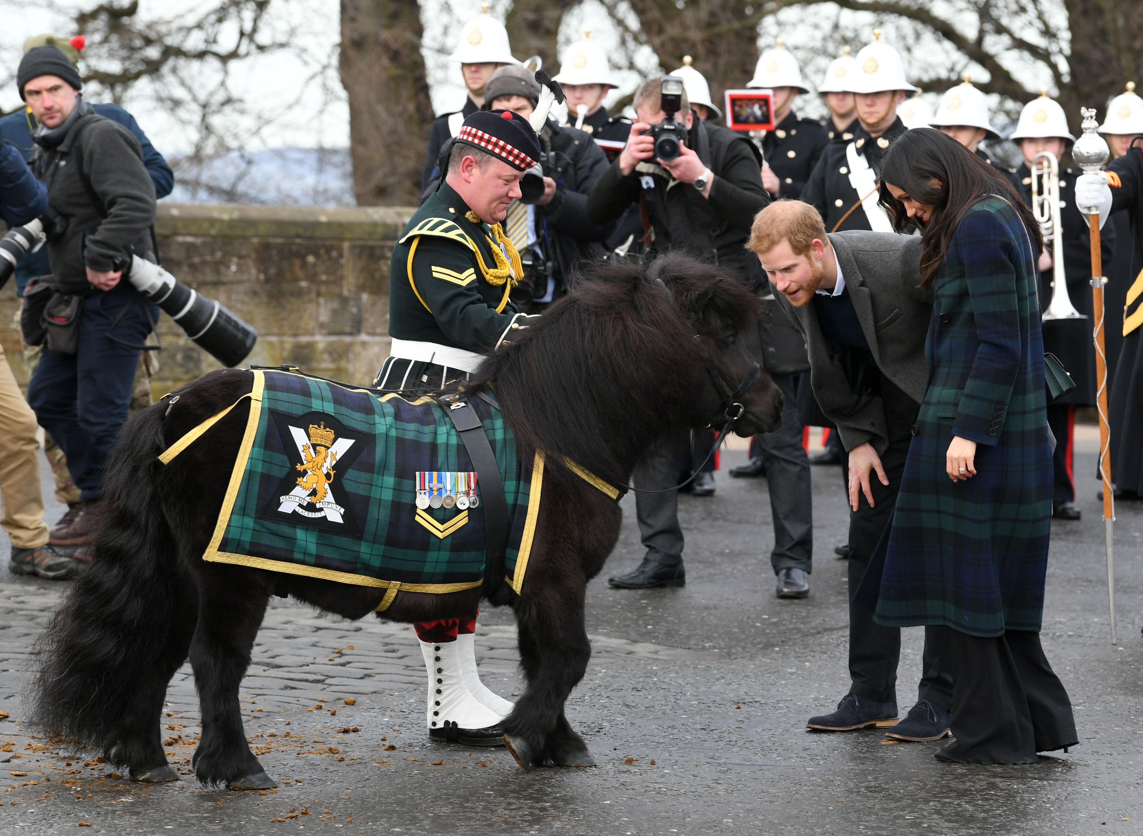 Cruachan III nips Prince Harry 