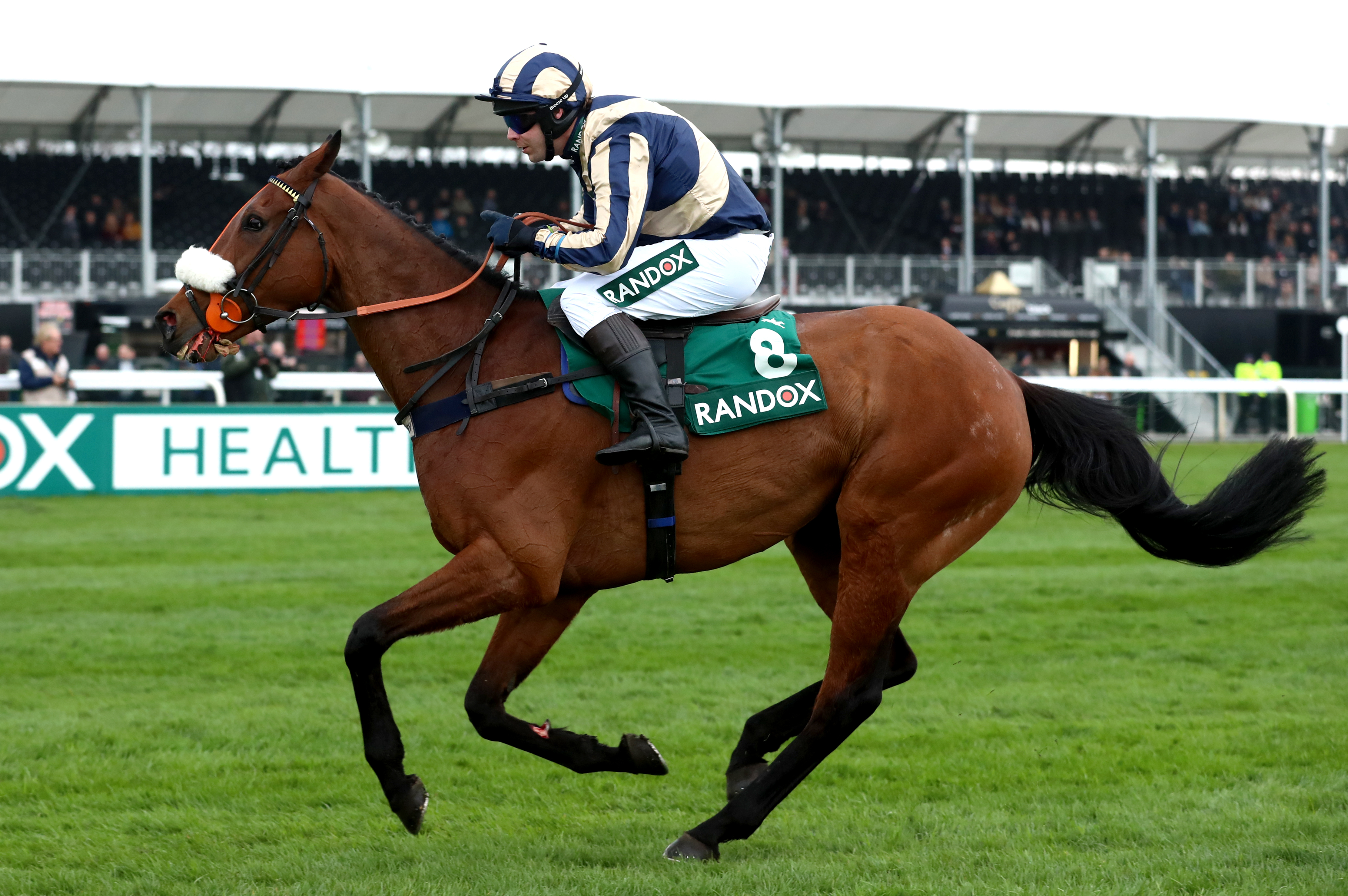 Jockey and former Army Captain Guy Disney