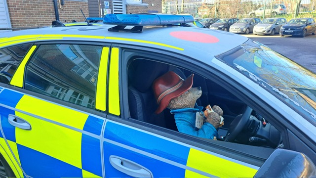 Paddington Bear statue recovered in police car