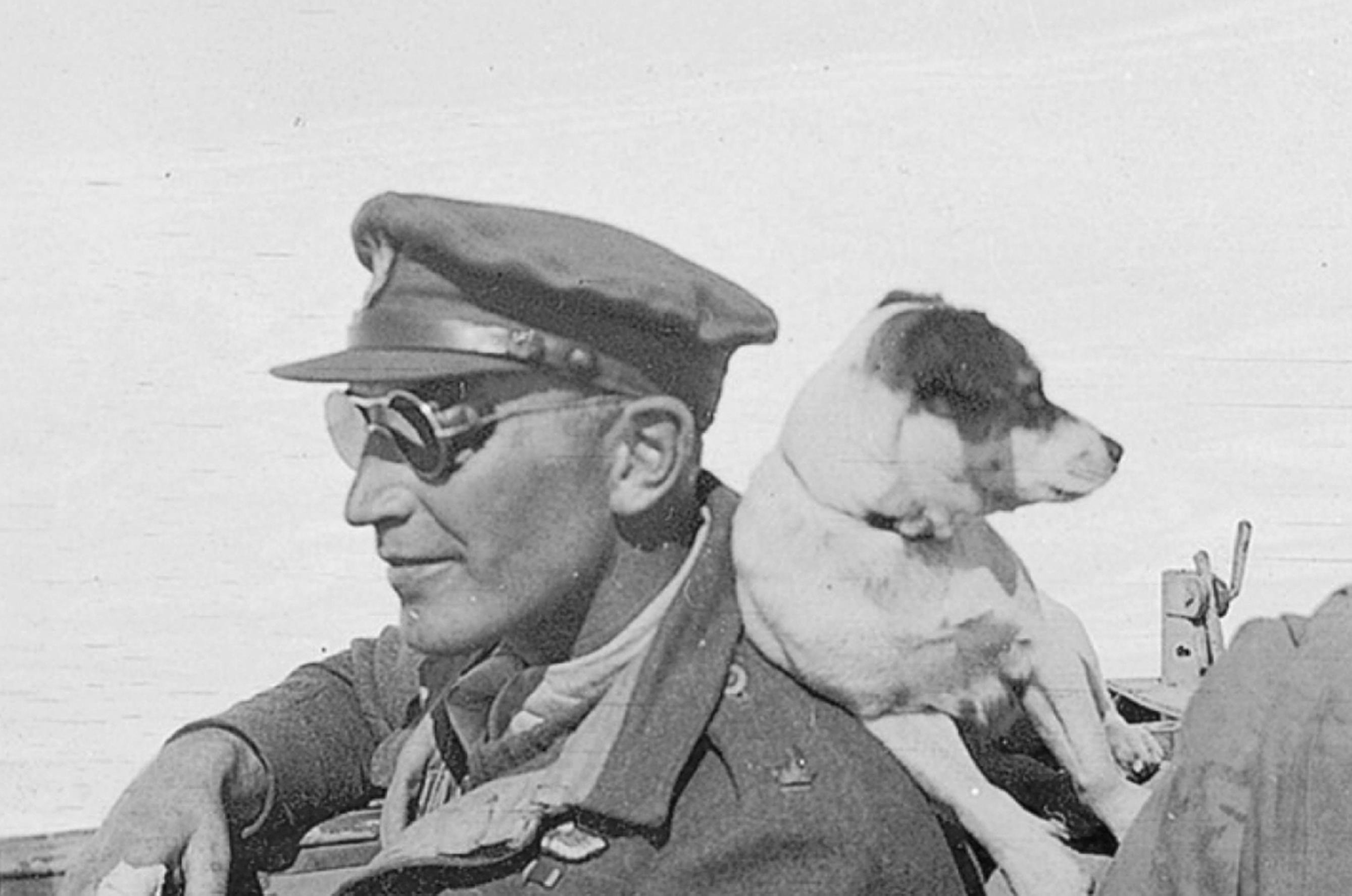 Paddy Mayne in the desert