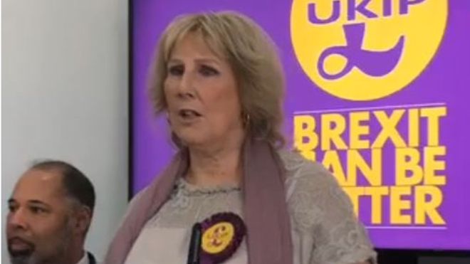Pat Mountain at UKIP manifesto launch