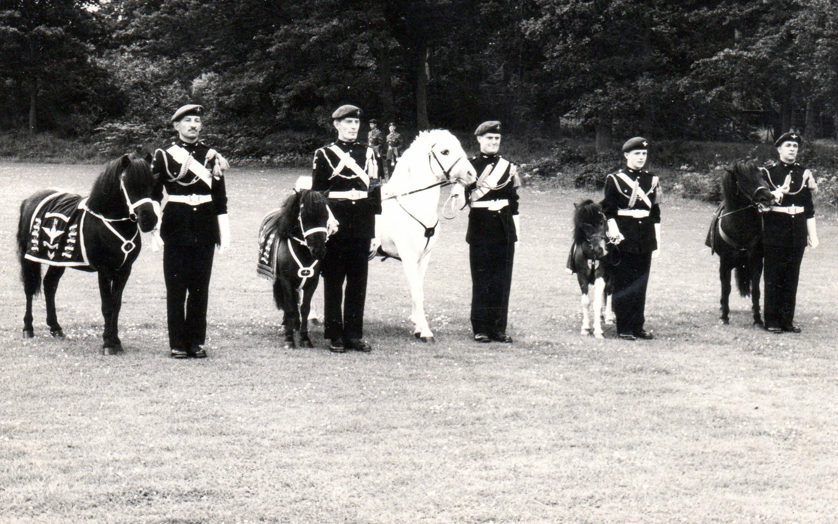 Pegasus I & Bruneval I British Army mascots