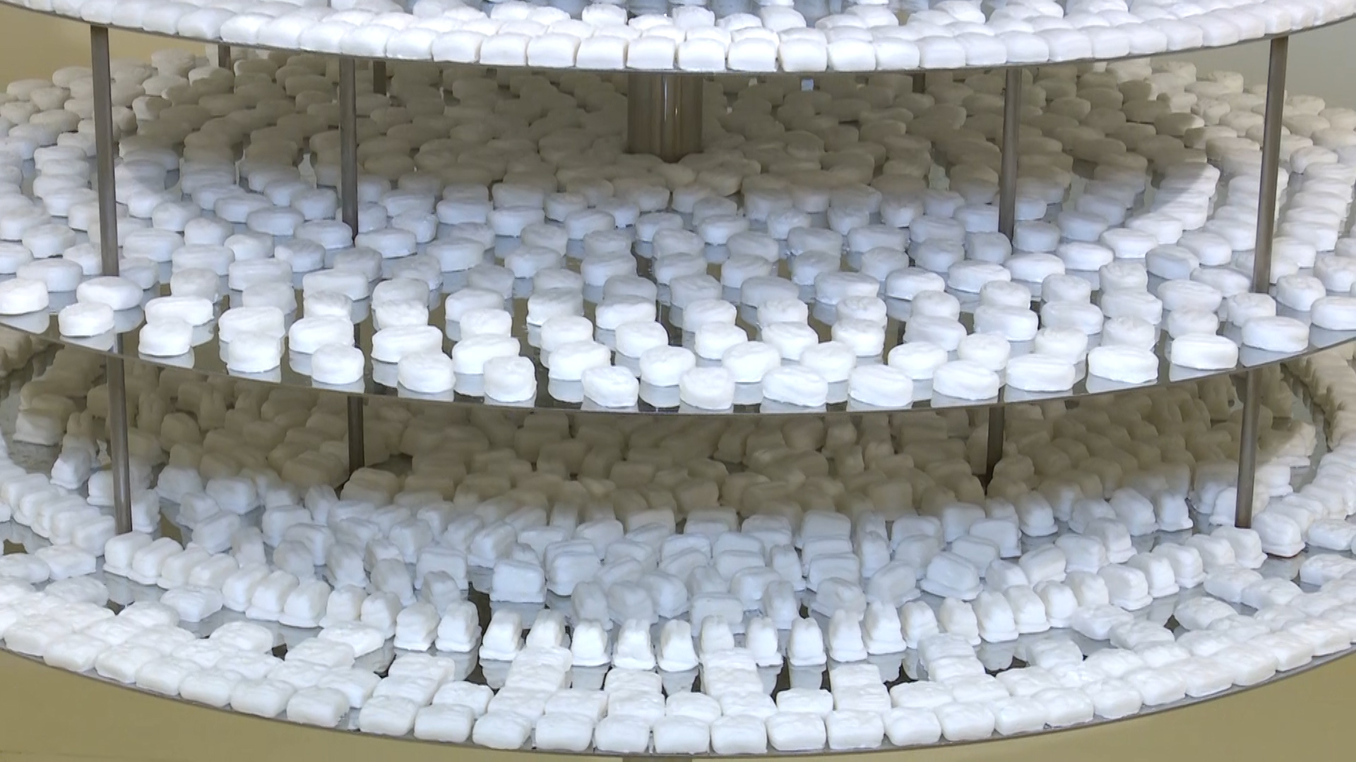 Peppermints in the Great and Tiny Exhibit 301018 CREDIT BFBS