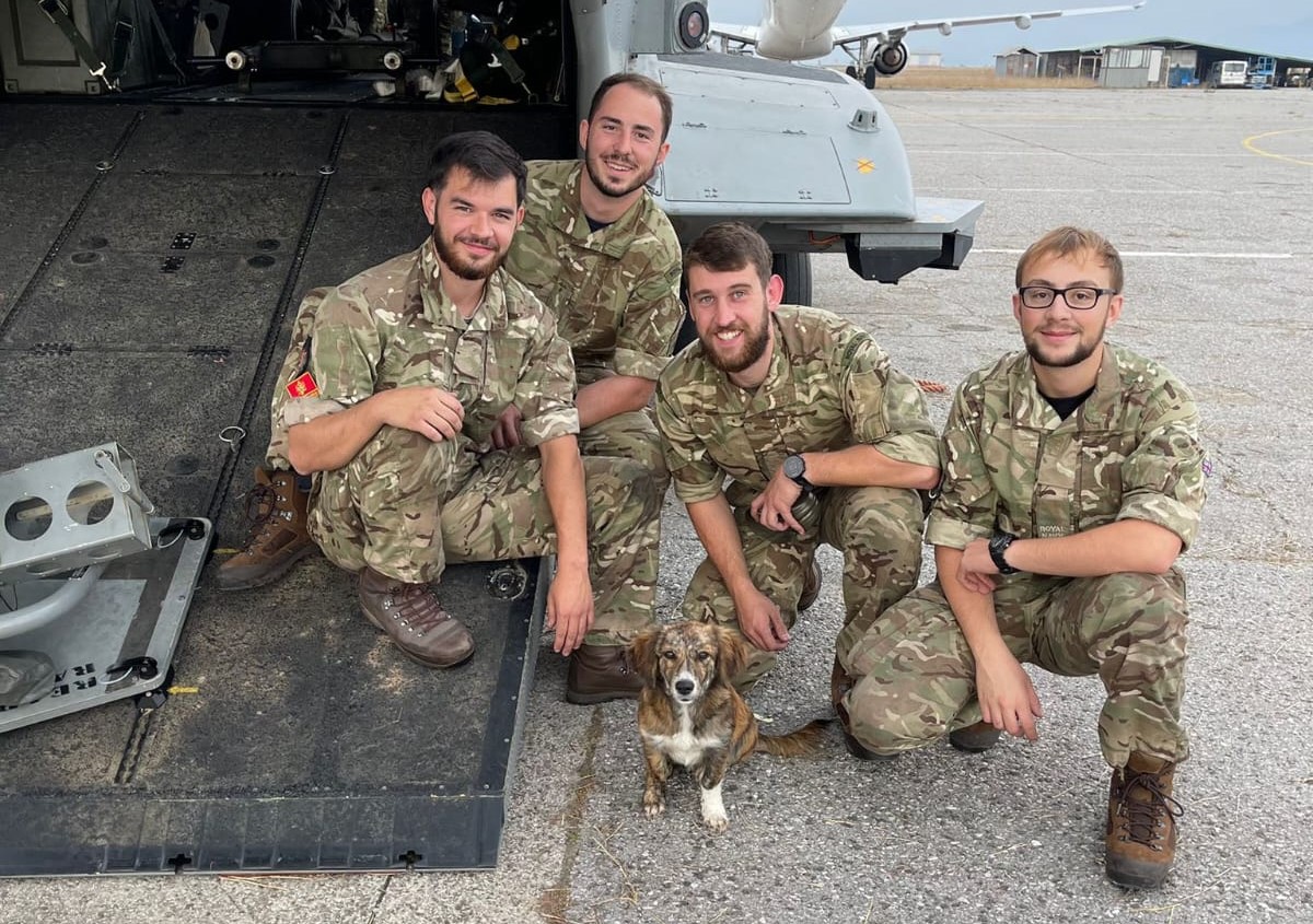 Personnel from 845 Naval Air Squadron with KT, the puppy they befriended in Montenegro (Picture: Royal Navy).