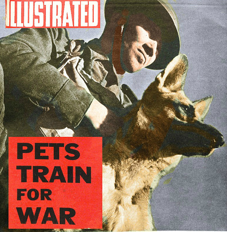Illustrated cover: Pets Train For War