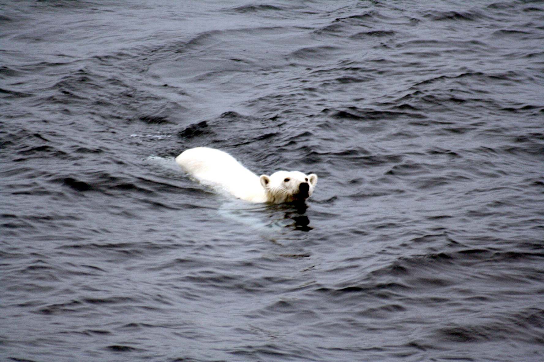 global warming