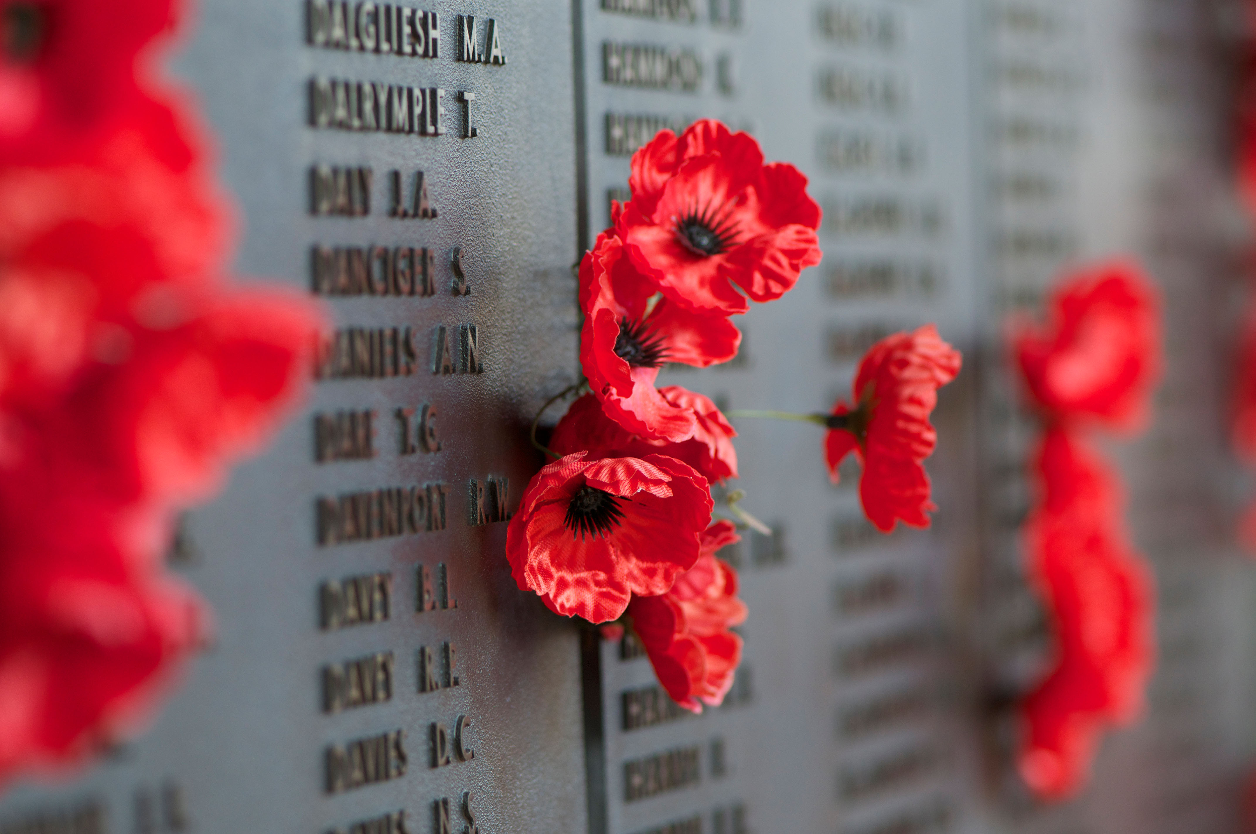 Poppies pinned next to the names of fallen loved ones on the Australian War Memorial, Canberra, Australia