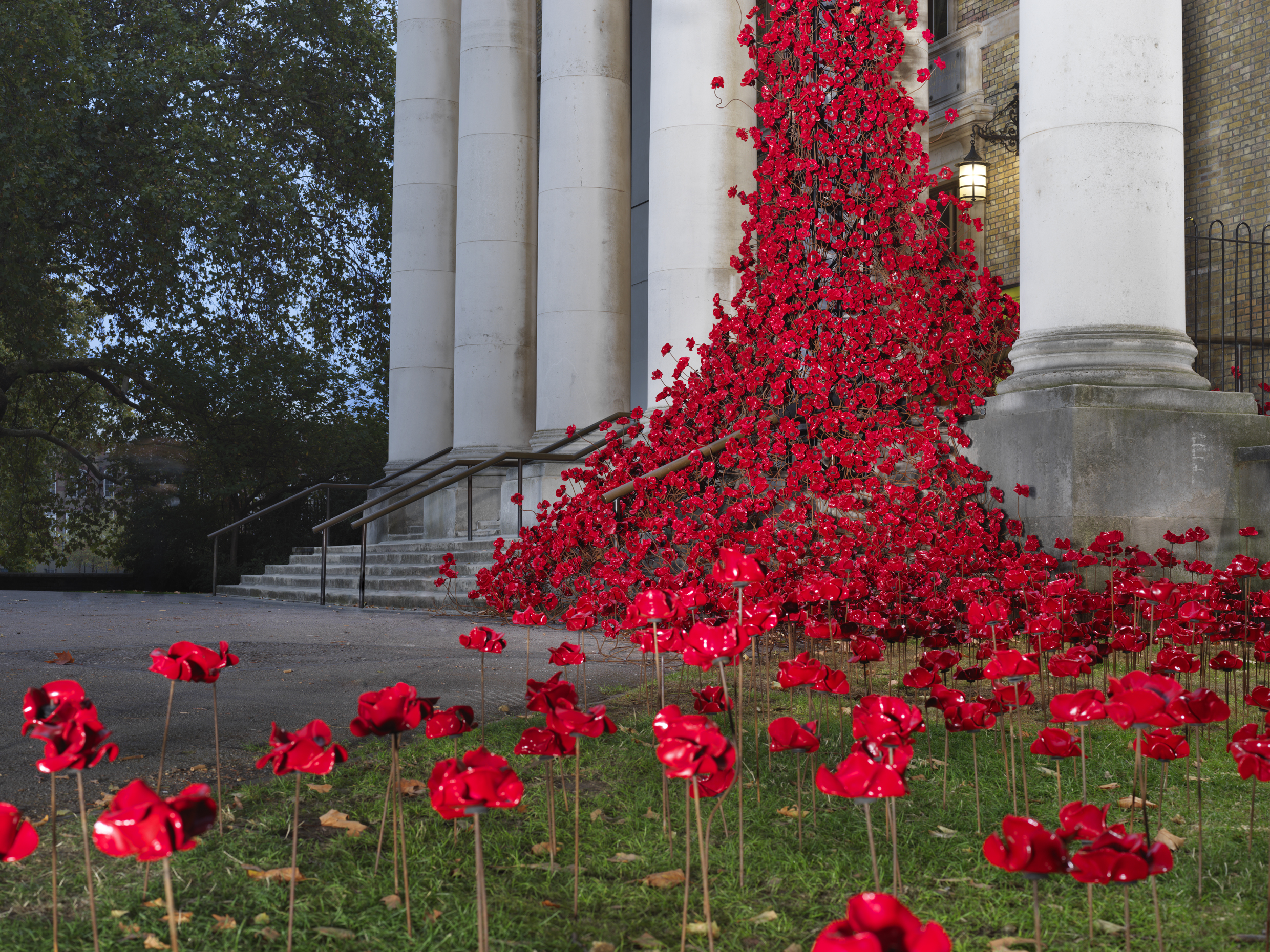 Weeping Window IWM
