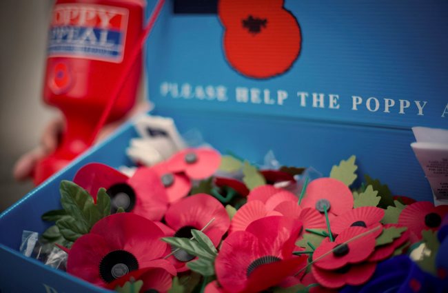 Donations made purchasing poppies goes towards those affected by war (Picture: MoD).