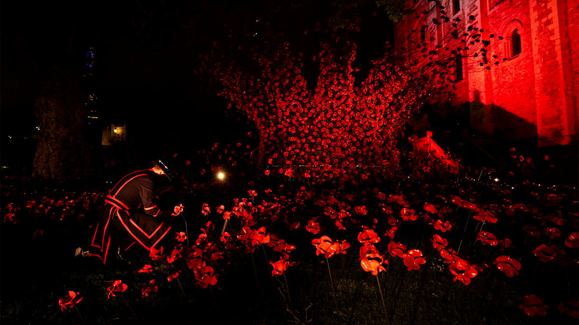 The installation will be on public display until November