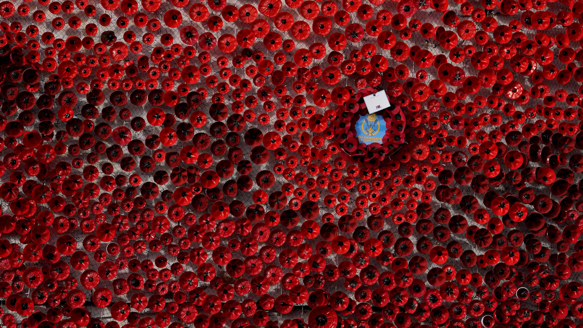 Poppy display by the 6th Ramsgate Sea Scouts on their Ice House base in Ramsgate to mark Armistice Day 111124 Image ID 2YHD45D CREDIT PA