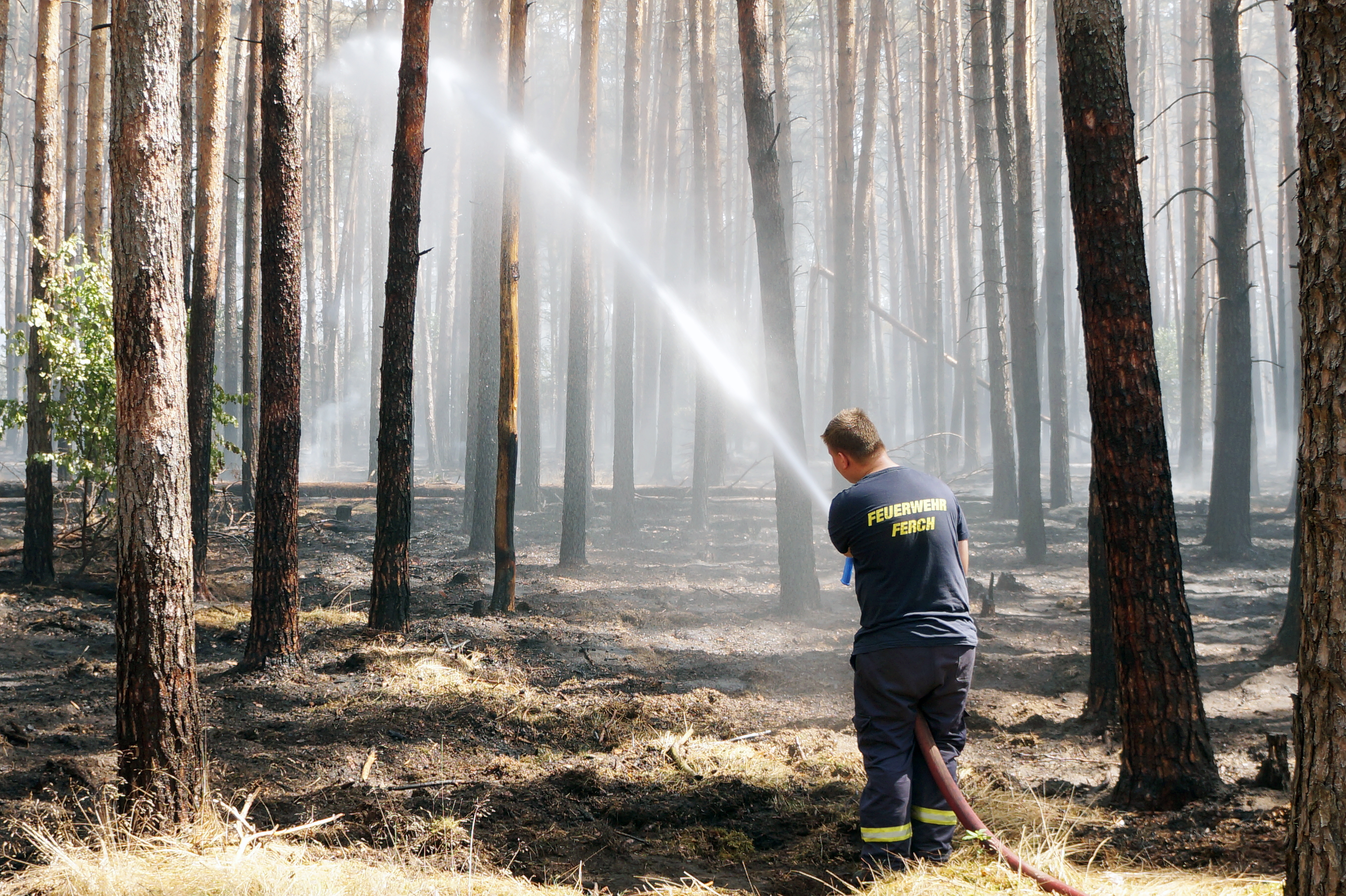 Potsdam forest fire Germany