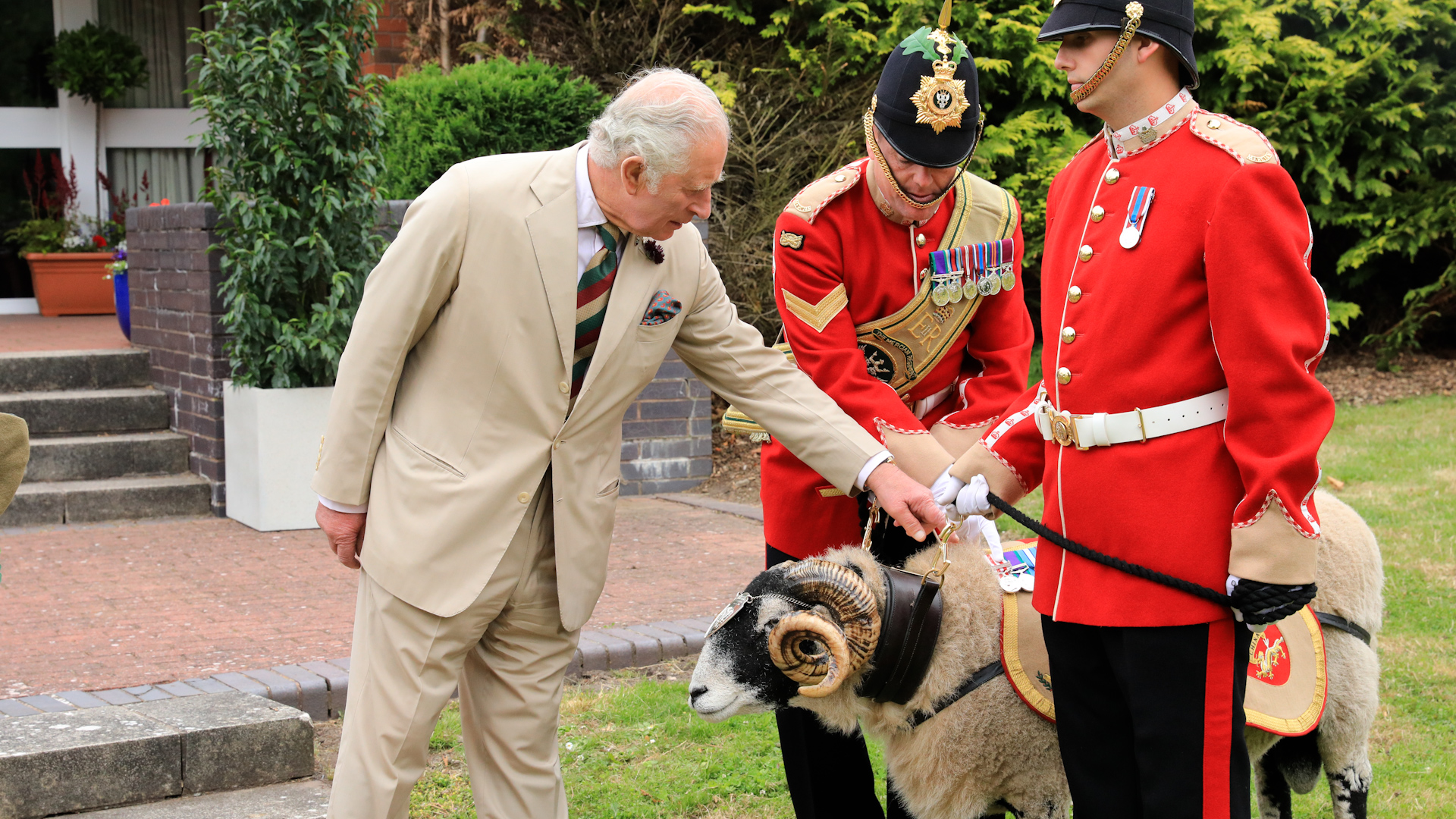 Prince Charles meets Mercian Regimental Mascot Lance Corporal Derby.